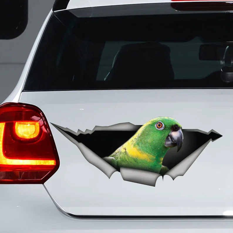 

Yellow-naped Amazon parrot sticker, Amazon parrot decal, Amazon parrot magnet
