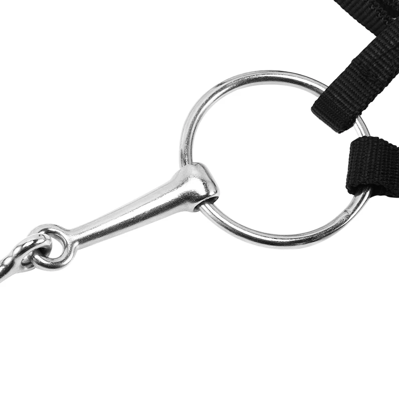 Регулируемое оборудование для верховой езды ремень лошадей с битами и