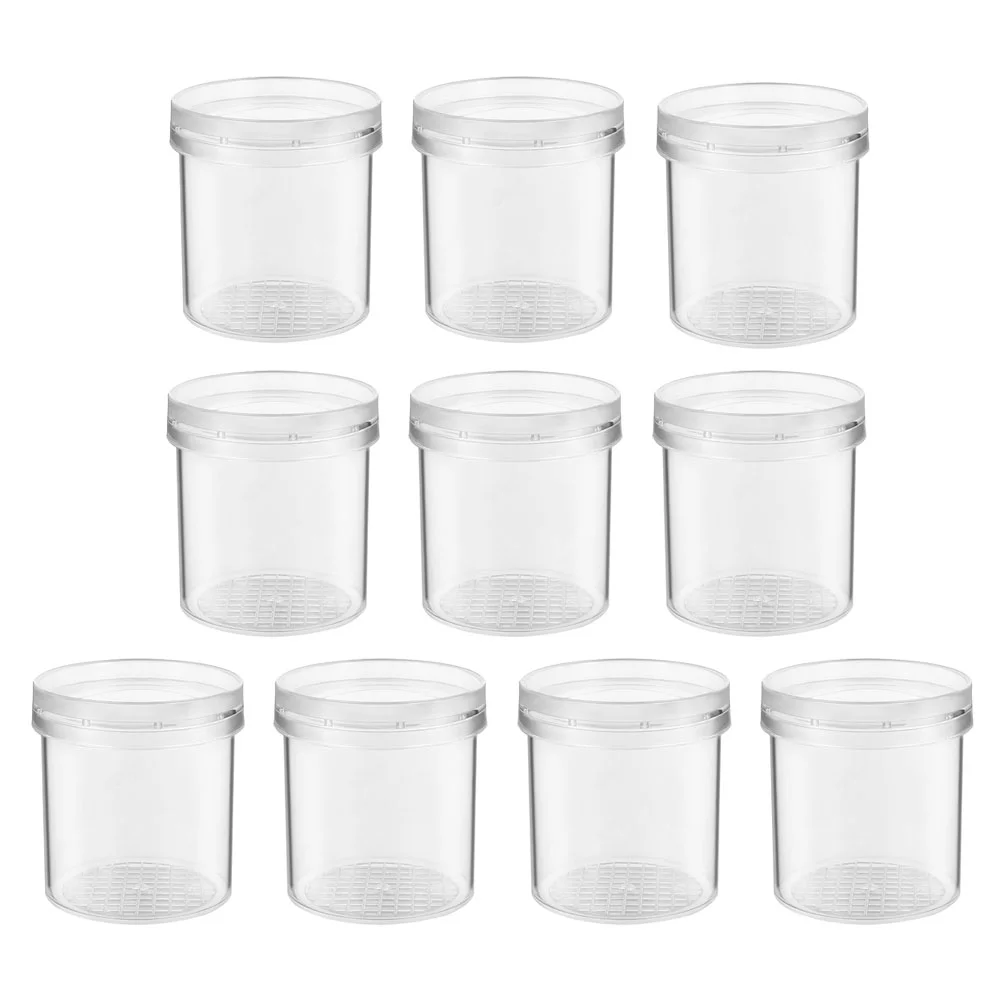 

Childrens Toy Insect Rearing Box Terrarium Glass Containers Transparent Bug Viewer