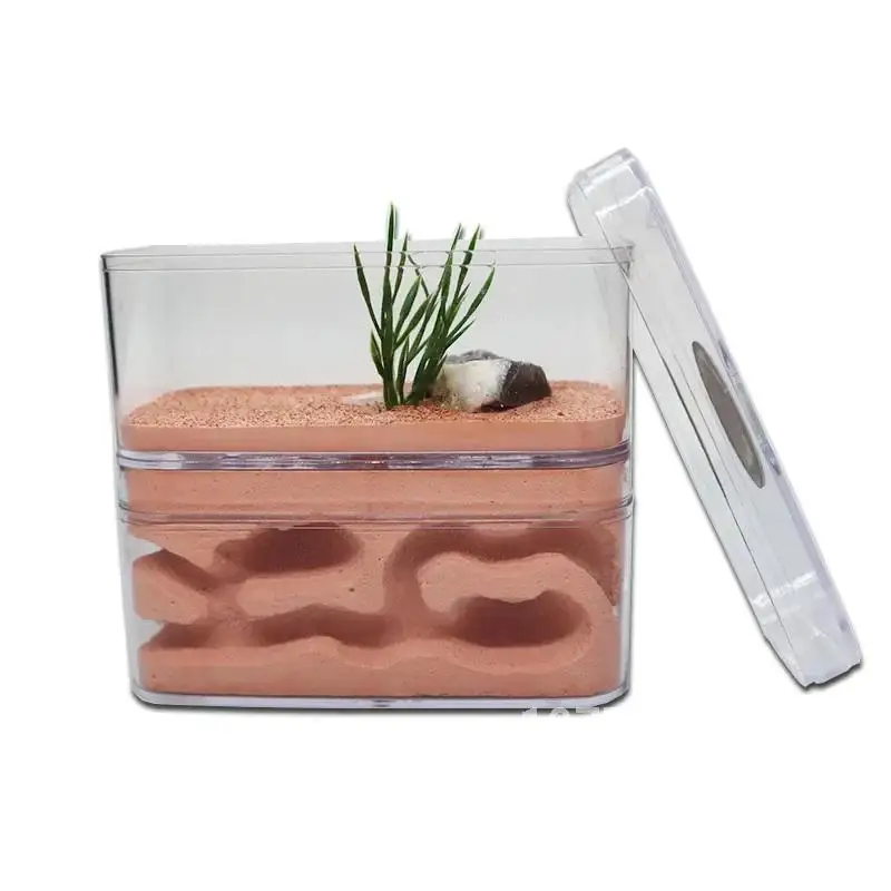 Ферма муравьев из штукатурки с мастерской высокоувлажняющее муравьиное гнездо