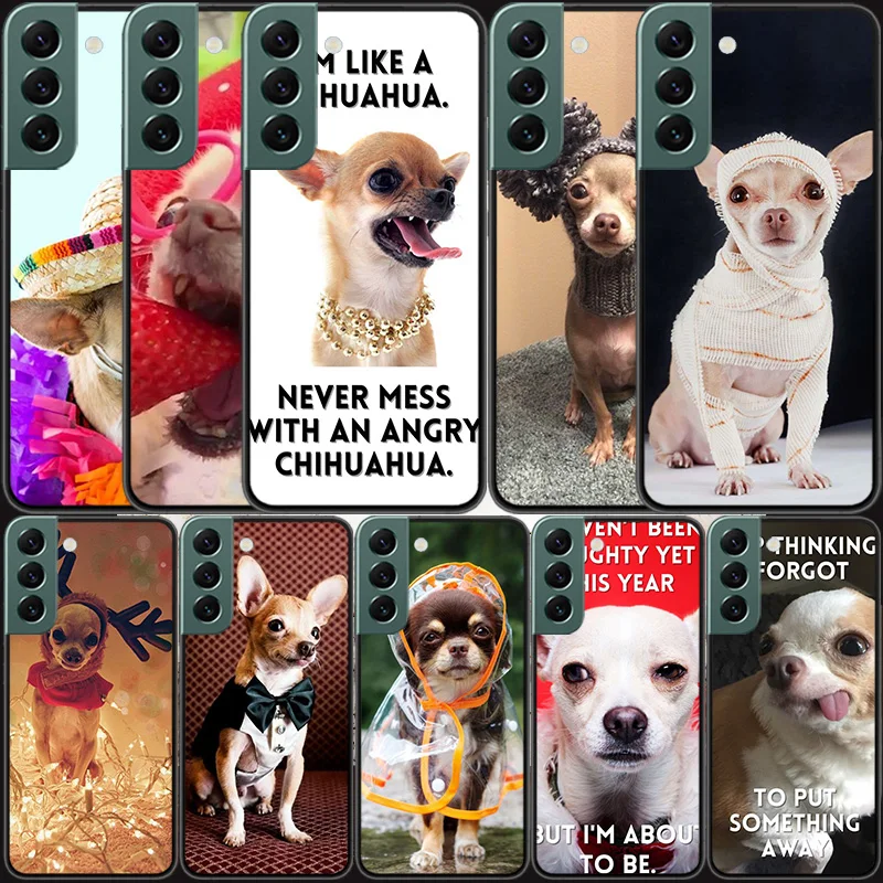 

Cute Pet Chihuahua Dog Phone Case For Samsung Galaxy Note 20 Ultra 10 Lite 9 8 M11 M12 M21 M30S M31S M32 M51 M52 J8 J6 J4 Plus C