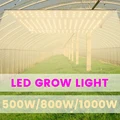 Фитолампа для выращивания растений, светодиодная фитолампа полного спектра для освещения растений Samsung LM281B 1000 Вт, Growbox, квантовая подсветка бора - фото