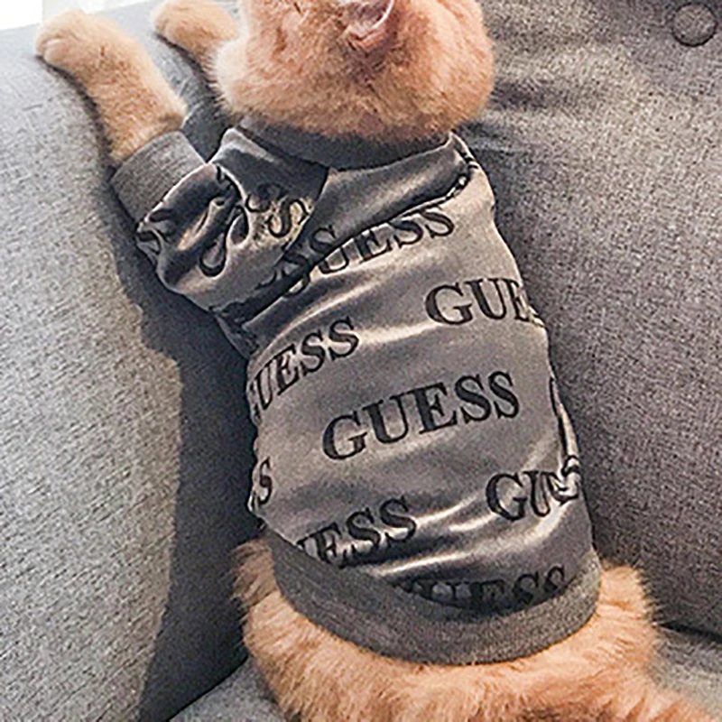 Костюм для домашних животных кошек бархатный мягкий свитер котенок щенок модное