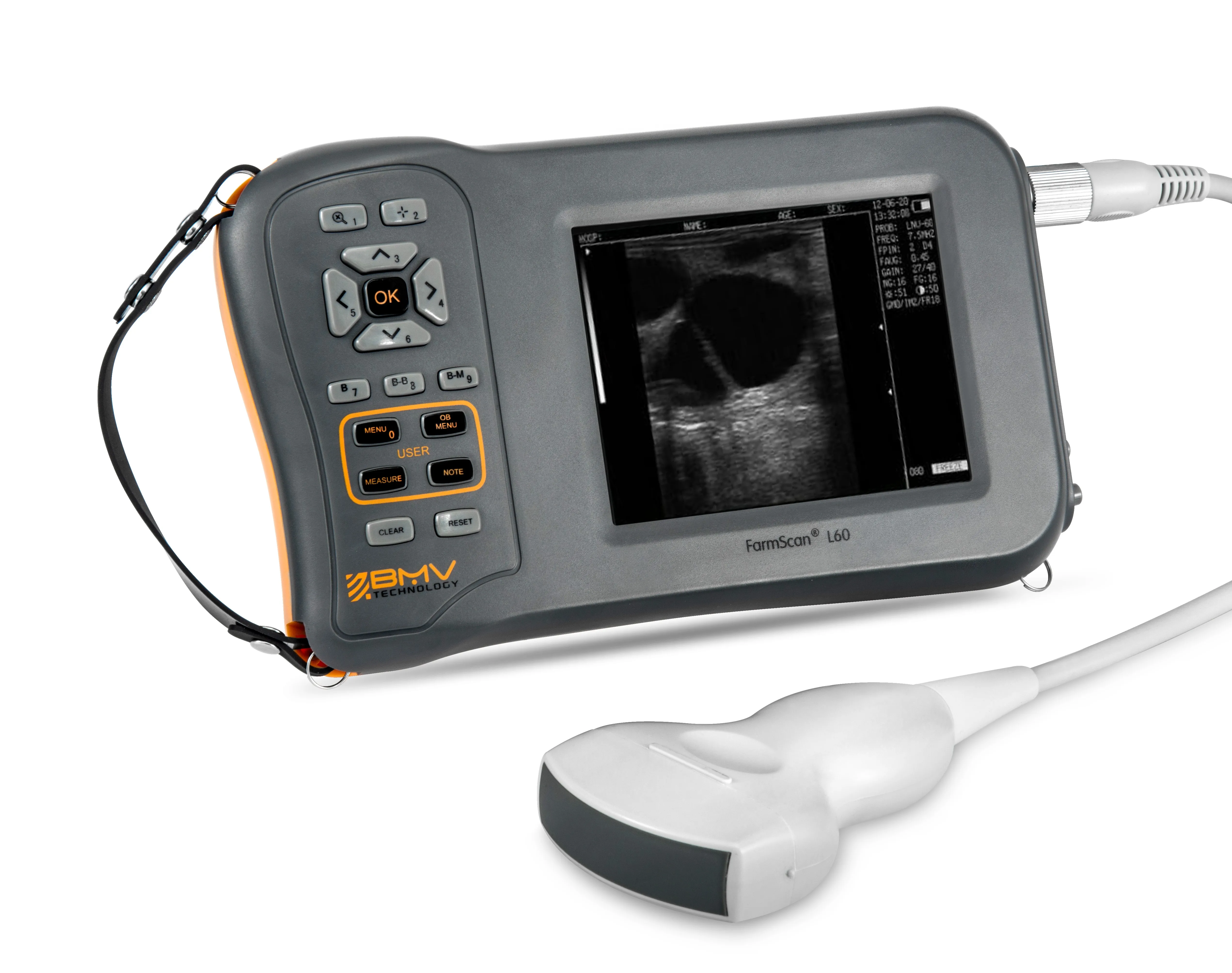 

BMV Farmscan L60 handheld portable cattle equine sheep pig ultrasound scanner ecografo Veterinary ultrasound