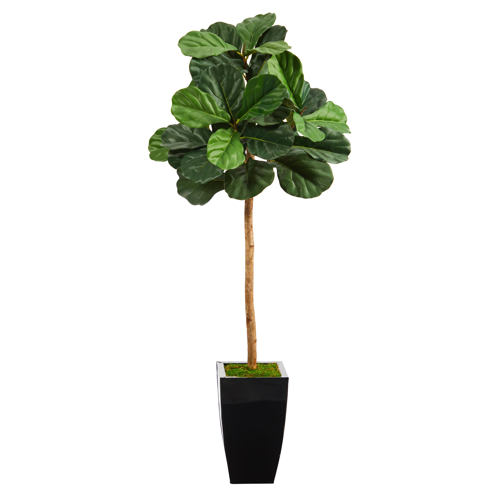 

Nearly Natural 50" Fiddle Leaf Artificial Tree in Black Metal Planter