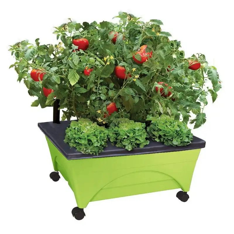 

Picker Raised Bed Box – Self Watering and Improved Aeration – Unit with Casters - Green 강아지 물 급수기 Hay bag f