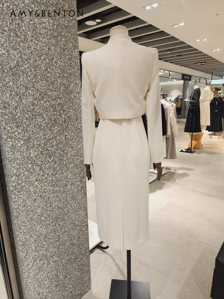 2024 весенне-осенний новый офисный женский элегантный изящный короткий пиджак с