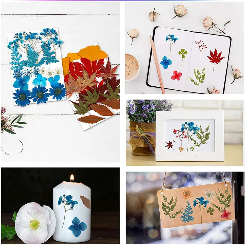 сухоцветы для декора эпоксидная смола Сушеные цветы 1 пакет Натуральные сушеные