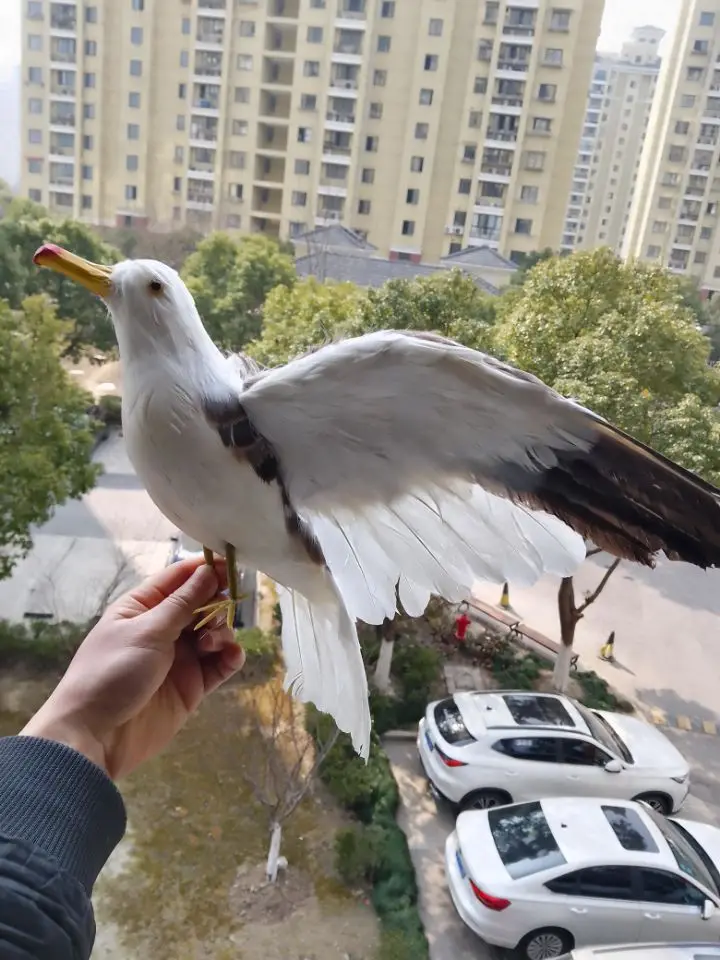 Модель птицы в виде голубя экологичные украшения из смолы поделки садоводство
