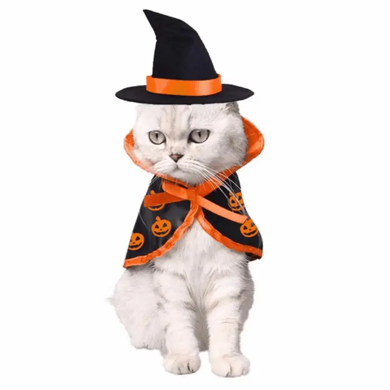 

Enchanting Halloween and Christmas Pet Apparel: Transform Your Furry Friend with a Magical Cloak and Festive Supplies