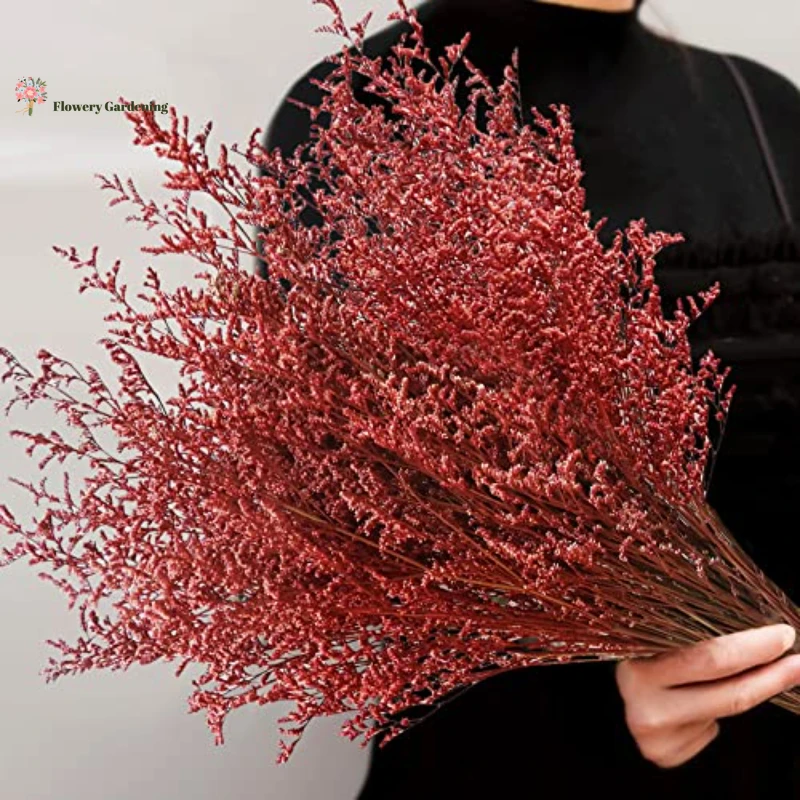 

100g Eternal Red Limonium Lover Grass Preserved Dried Flowers Autumn Decoration Home Flowers Bouquet Valentine's Wedding Decor