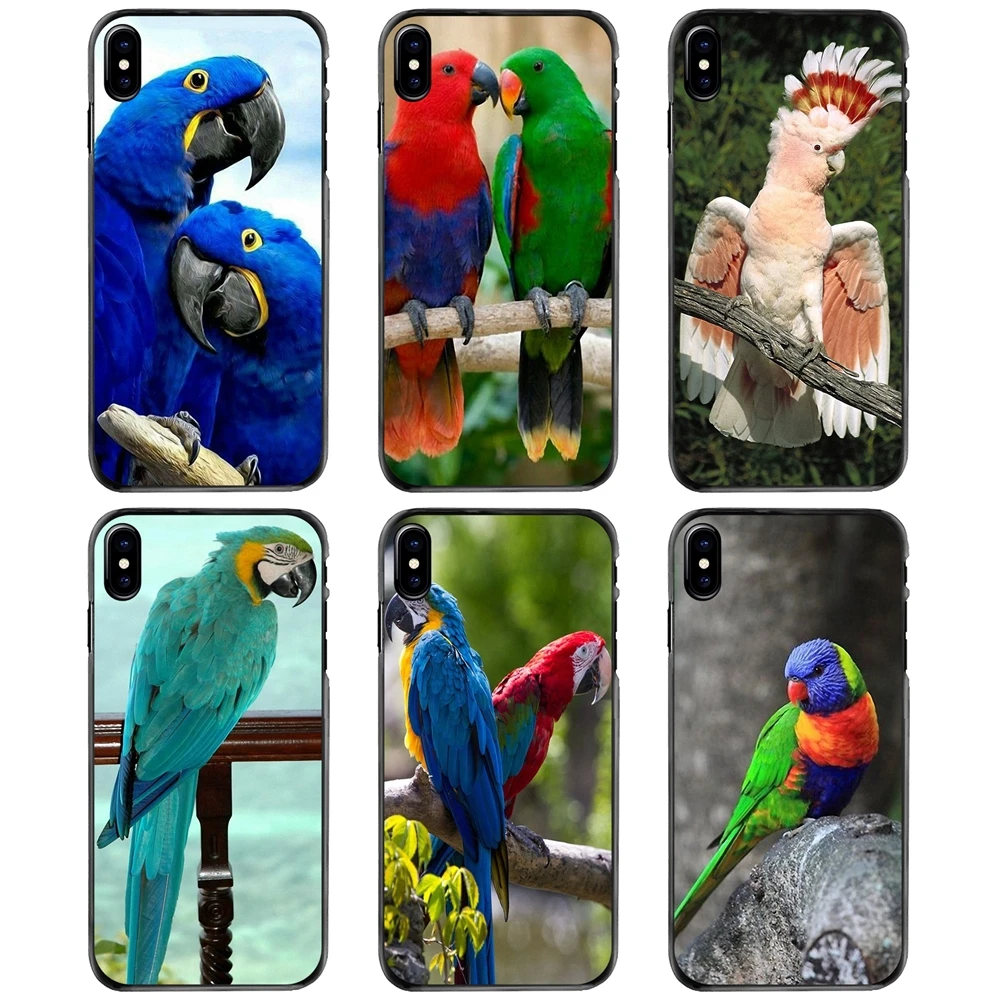 

For Apple iPhone 11 12 13 14 Pro MAX Mini 5 5S SE 6 6S 7 8 Plus 10 X XR XS Hard Phone Shell Case Rainbow Parrot
