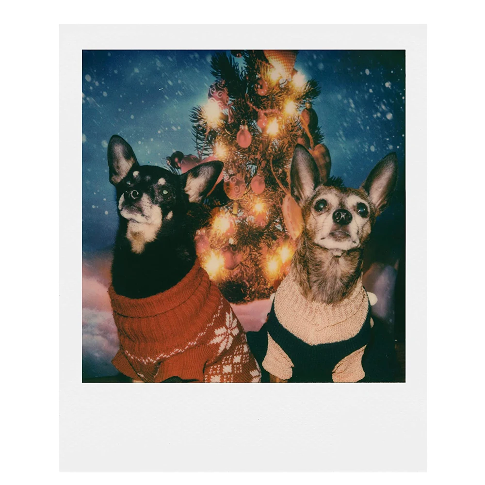 Фото Polaroid 600 цветная пленка белая рамка мгновенная фотобумага 8-40 листов для Polaroid 636 637 640 Onestep2 Plus Instax Camera №5