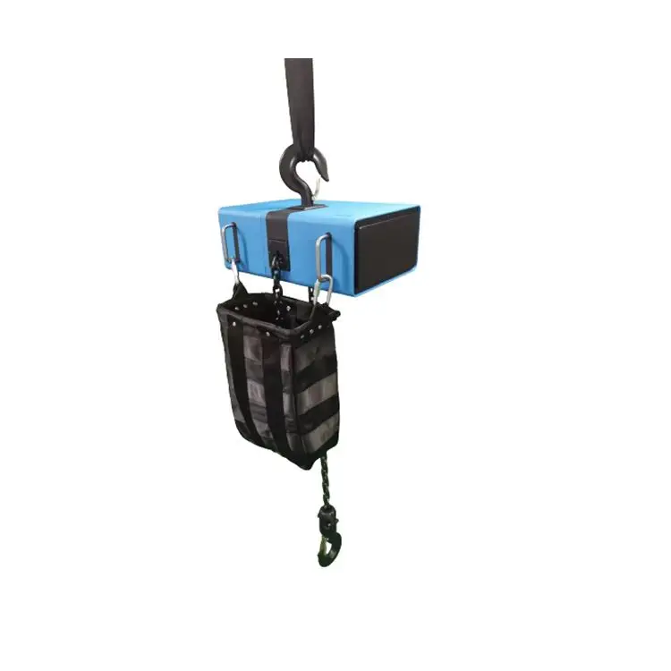 

Factory Prices 100kg 1/2 ton 1000 kg stage chain engine mini electric hoist
