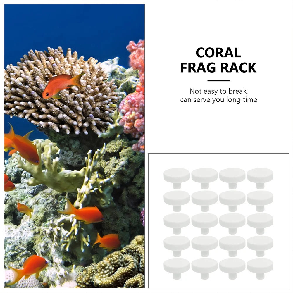3-х шт. коралловая основа для аквариума подставка клей украшение принадлежности