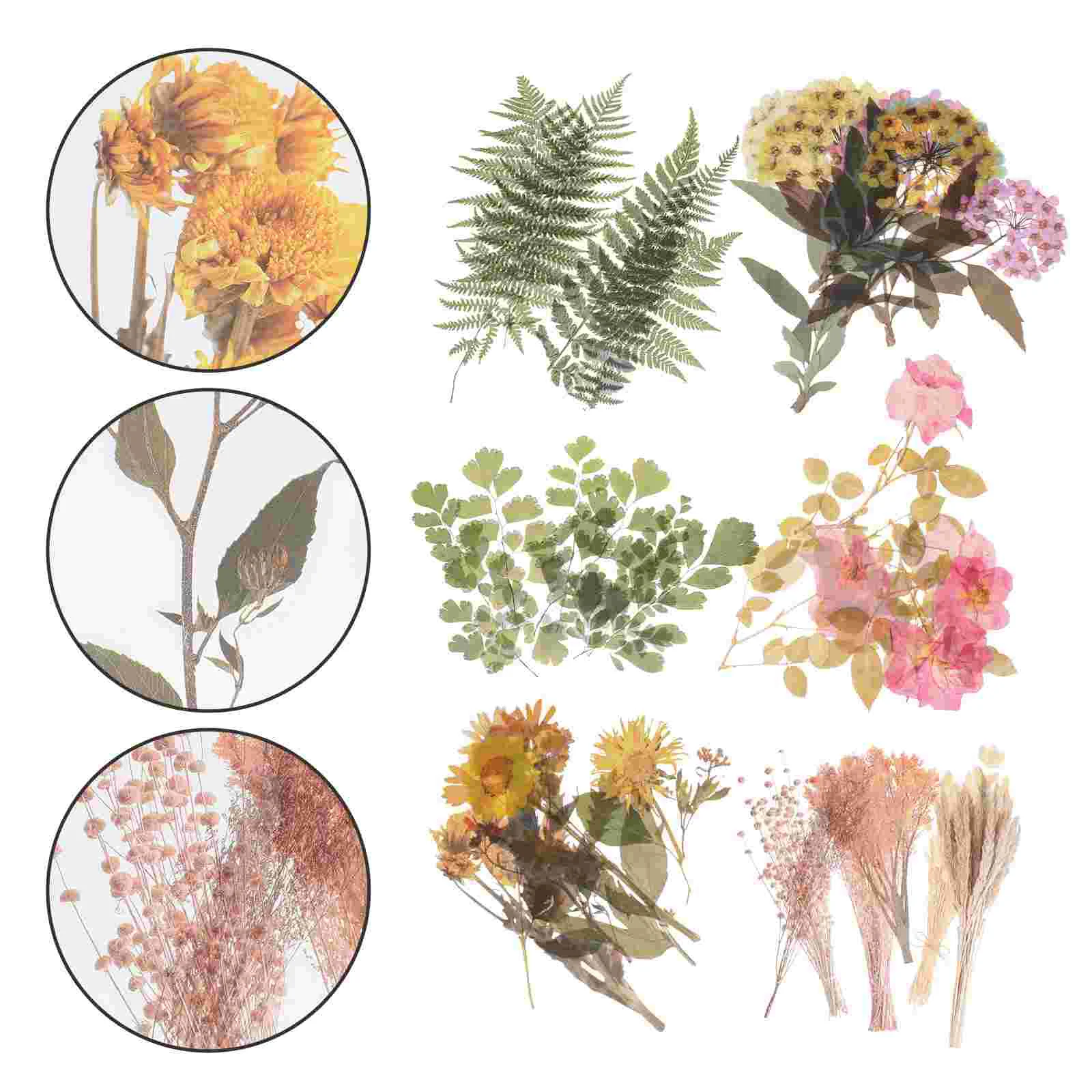 

6 Sets Self-adhesive Stickers Plant Shape Stickers Hand Account Decorative Stickers