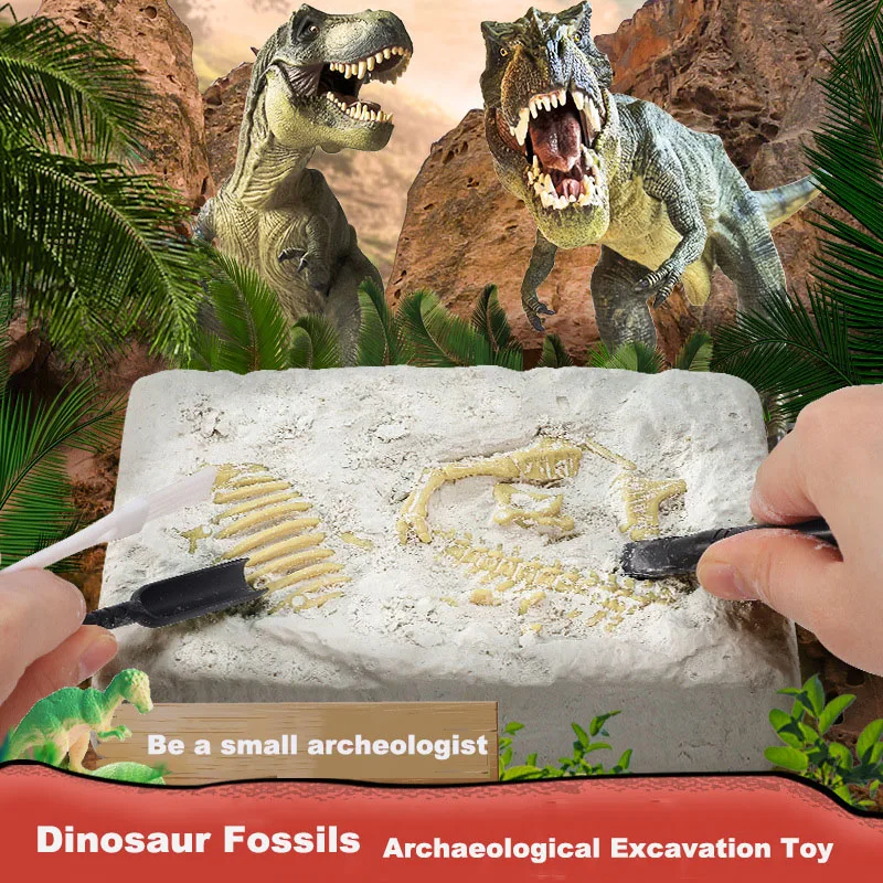 

Dinosaur fossil toolkit archaeological excavation toy Jurassic world dinosaur skeleton model science education toy for Kids Gift