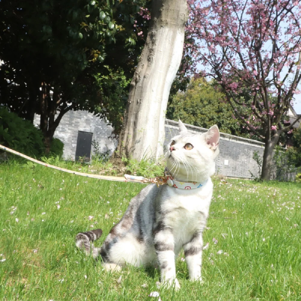 

Женский ошейник для собак с принтом, металлические аксессуары для собак для маленьких и больших масок, воротник, Перро, колье, чат