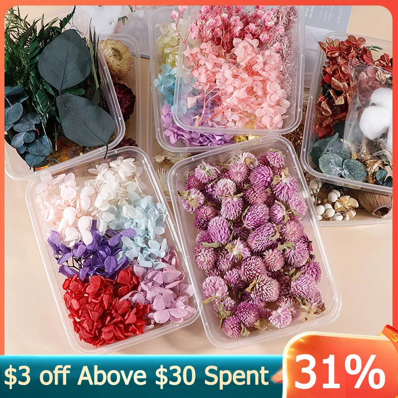 

DIY Pressed Dry Flowers & Leaves for DIY Art Craft Epoxy Resin Candle Making Jewellery for Crafts Decor Real Dried Flowers