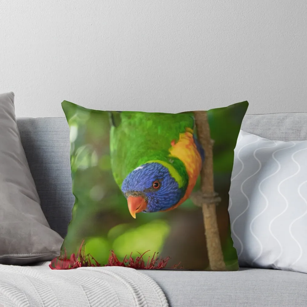 Радужная декоративная подушка в клетку для дивана Роскошный чехол подушки