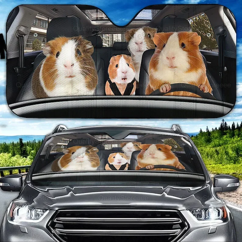 

Guinea Pig Car Sunshade, Guinea Pig Lover, Guinea Pig Car Decoration, Car Windshield, Guinea Pig Sunshade, Gift For Her