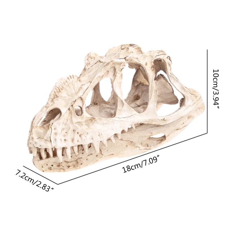 Изделия из смолы Ceratosaurus череп динозавра модель обучение скелету украшение для