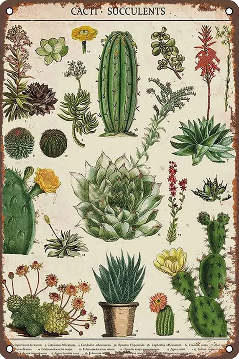 Wll Decor Metl Tn Sgn Cct Succulents Retro для дома Grden Mn Cve Brs Resturnts Cfes Office Store 12 X 8 N