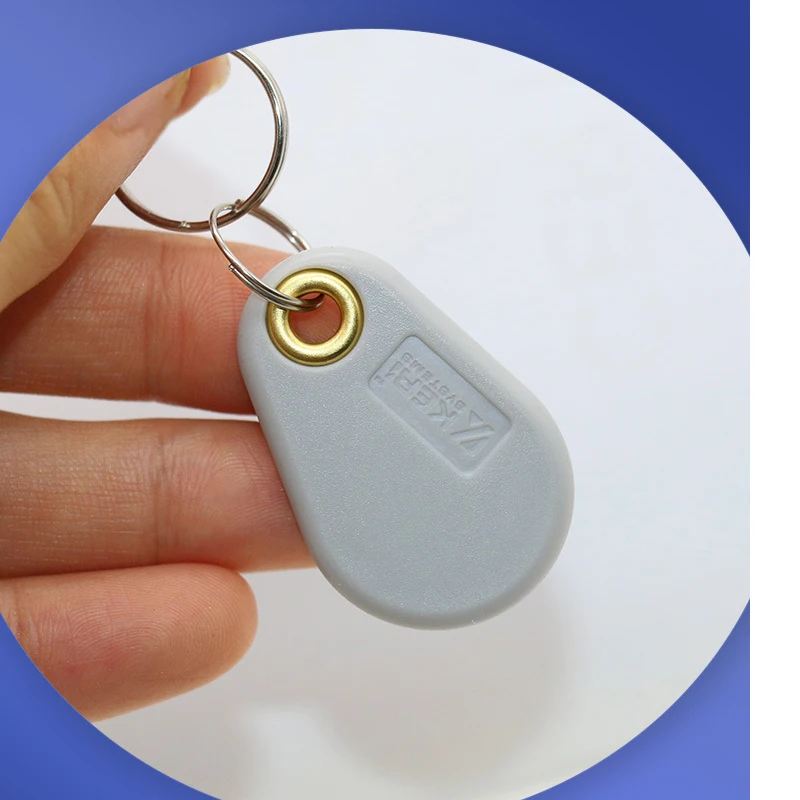 Фото 50/100 шт. ID 125 кГц EM4305 T5577 записываемые RFID-метки для ключей кольцевые жетоны брелоки перезаписываемый серый брелок для карт копия клон дубликат №2