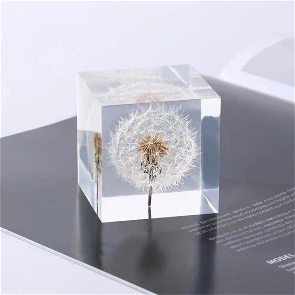 

Wholesale crystal cube shaped transparent resin dandelion paperweights Collection of home decoration ornaments