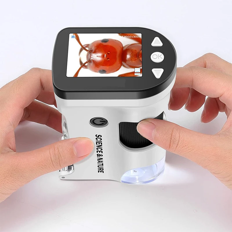 Portable Handheld Digital Video Microscope Camera Camera 800X Telescope Kids Biological Professional Eeletronic Magnifer