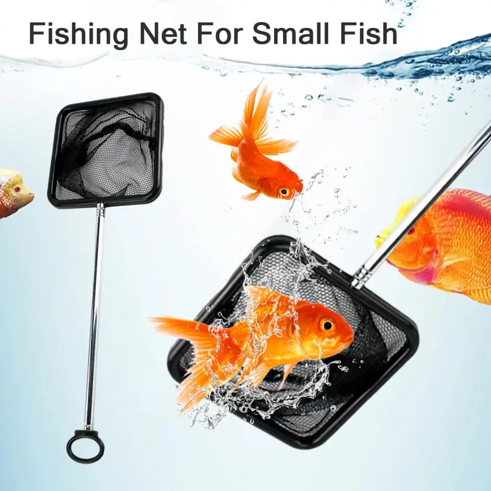

Load-bearing Fishing Net Extendable Handle Stainless Steel Fishing Nets for Aquariums Outdoor Camping Durable Fine for Cleaner