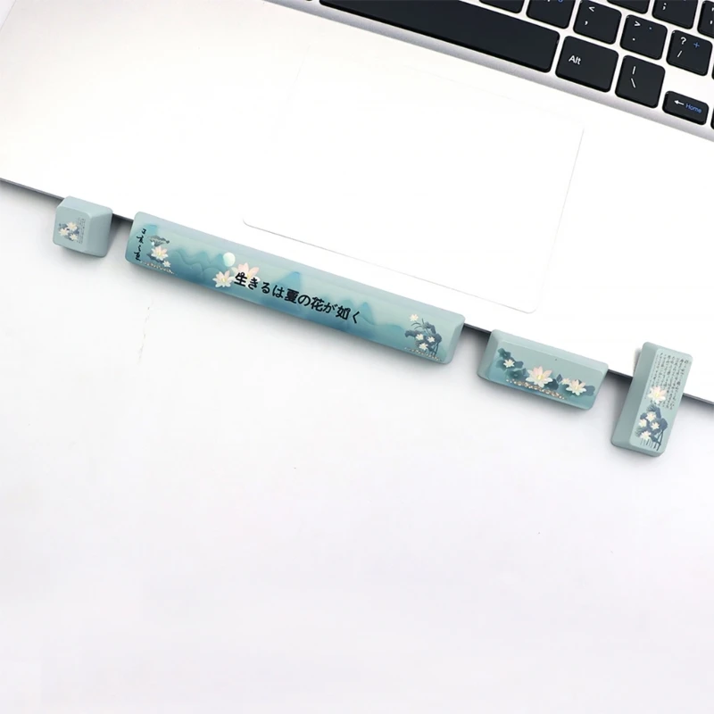 

Thick PBT Dye Sub Keycaps Thermal Dye-Sublimation 6.25U Space Enter Keycaps OEM 4PCS/Set