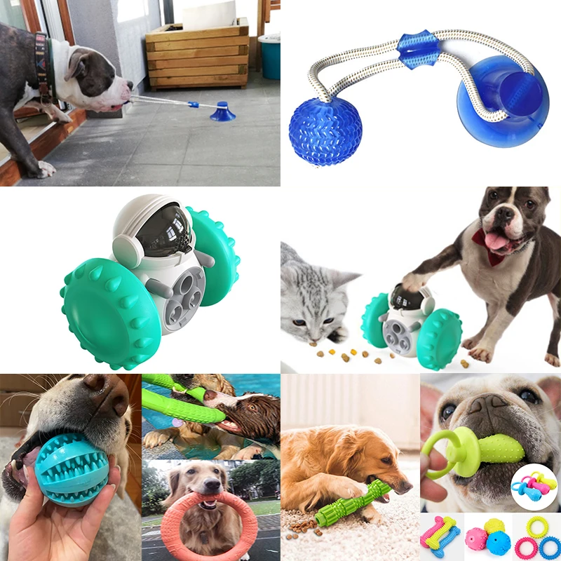Interactive Rubber Suction Cup Push Tpr Balls For Small Larg