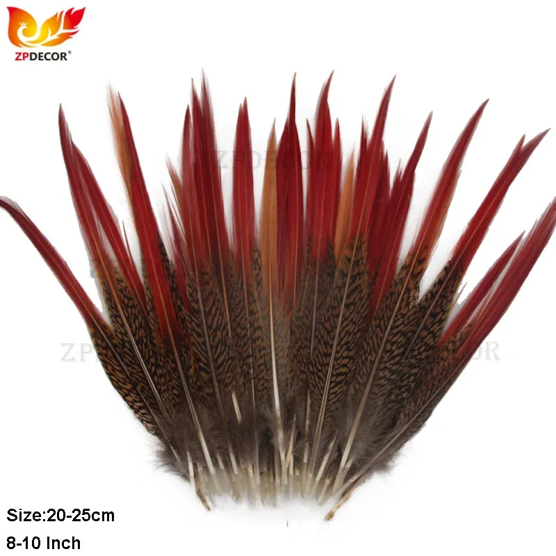 

8-10 Inch 20-25 CM Orange Tips Lady Amherst Pheasant Feathers