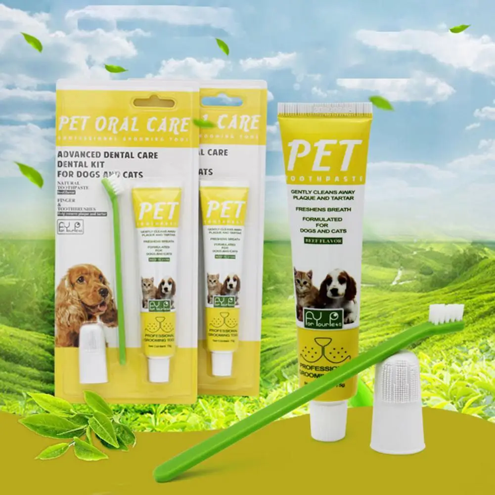 

Portable 1 Set Ultralight Pet Teeth Cleaning Brush Manual Cat Toothbrush Non-slip Cat Supplies