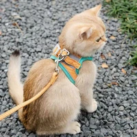 pet harness adjustable vest for cat dog walking lead with leash reflective chest breathable dog accessories collar mesh cw369