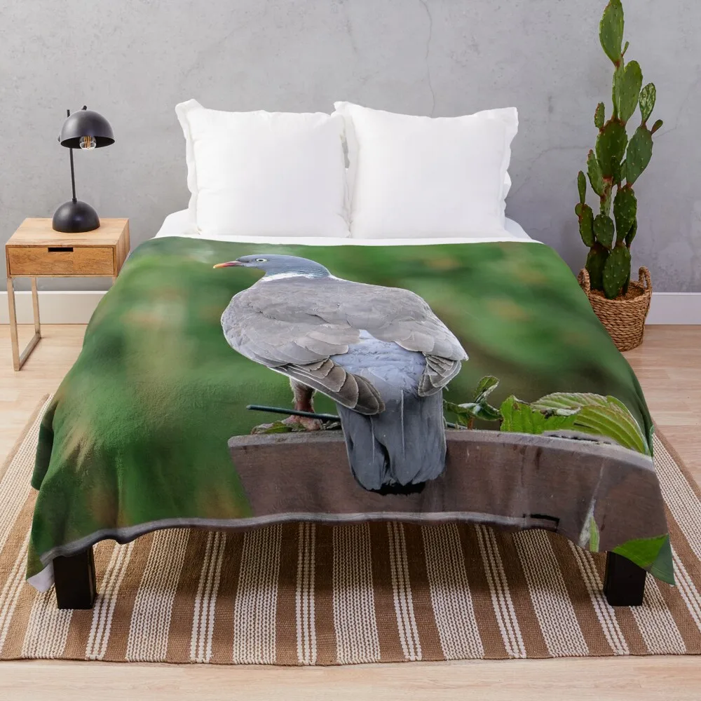 vr 3688 / finition 2024 - 1 Гордый Fier Pigeon Okaio-Umin Créations Olavia-Olao Плед Лохматое одеяло