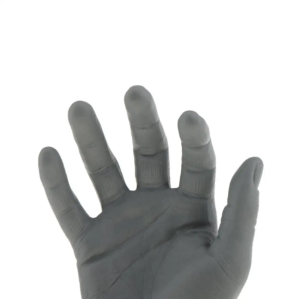 

High Simulation Male Mannequin Right Hand Jewelry Watch Glove Display