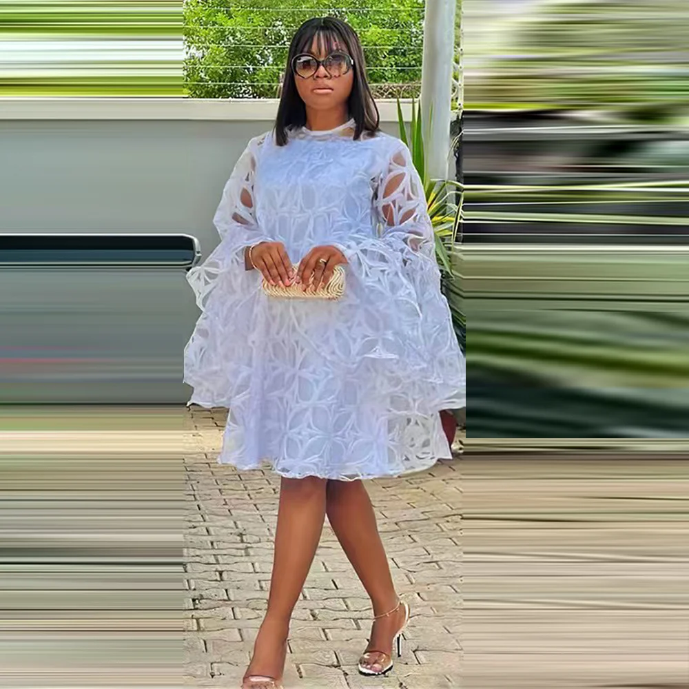Plus Size Fashion Women Lace Dress Long Sleeve Round Neck Mesh Loose Pullover Elegant Chic Loose Ladies Dress For Summer 2023