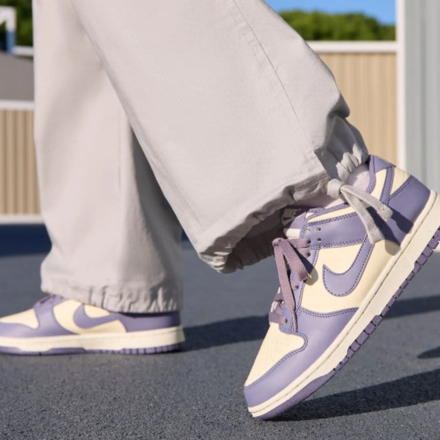 Фото Женские легкие классические износостойкие кроссовки Nike Authentic Dunk Low FZ4349-100 №1