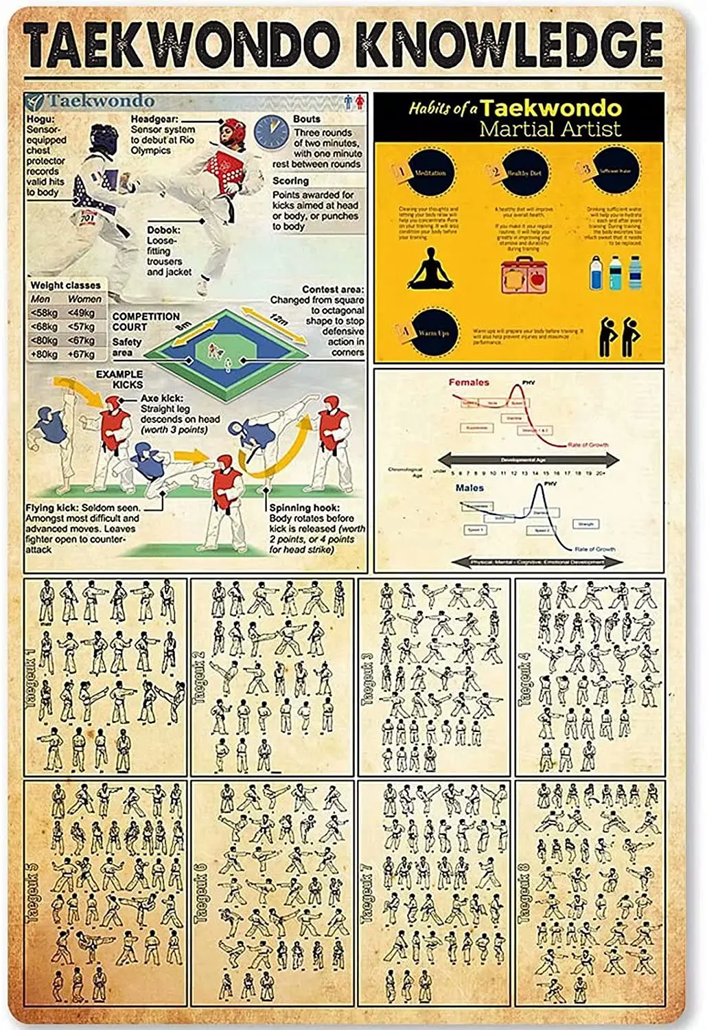 

Знания о тхэквондо линдафуэни, Настенный декор, ретро металлические жестяные знаки, двигающиеся карты тхэквондо, плакат с принтом для клуба...