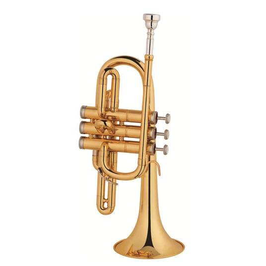 

Trumpet factory directly selling gold lacquer C tuning children trumpet from China