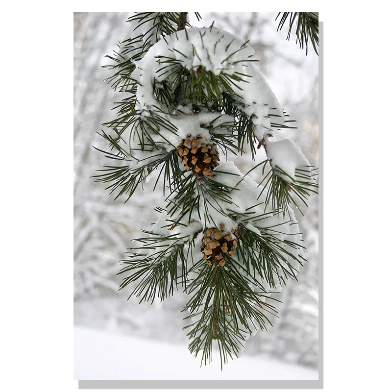 

Настенная Картина на холсте Рождественский подарок зеленый дом олень белка скандинавские плакаты и принты настенные картины для декора гостиной