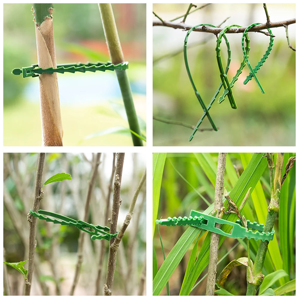 

50pcs Green Gardening Vine Climbing Plants Cable Tie Lines Plant Parts Flower Cucumber Grape Rattan Supports Plant Support