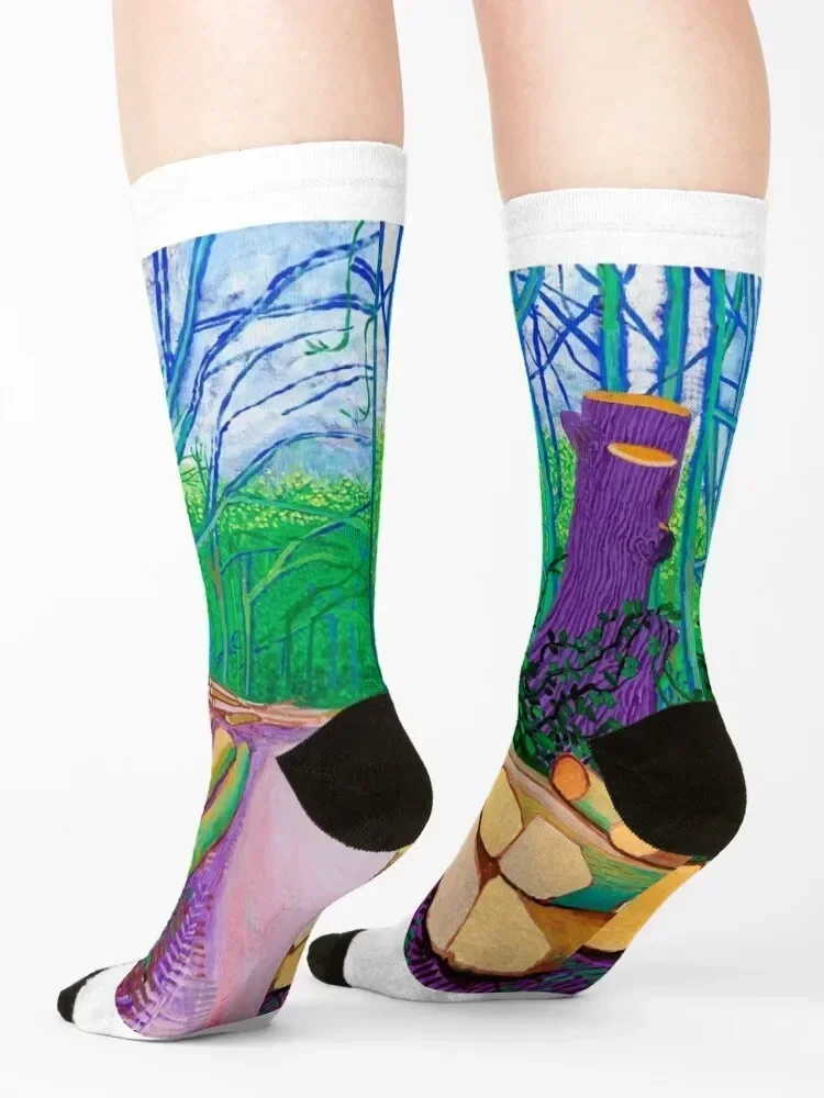 Носки с художественным принтом в стиле Дэвида Хокни спортивные чулки цветочным