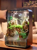 yy tropical rainforest tank fish tank small living room desktop shrimp grass tank plant