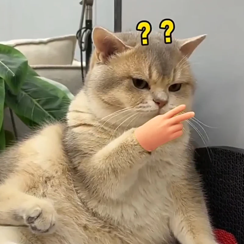 Новые растирающие кошачьи пальцы креативная игрушка для домашних животных Tpr