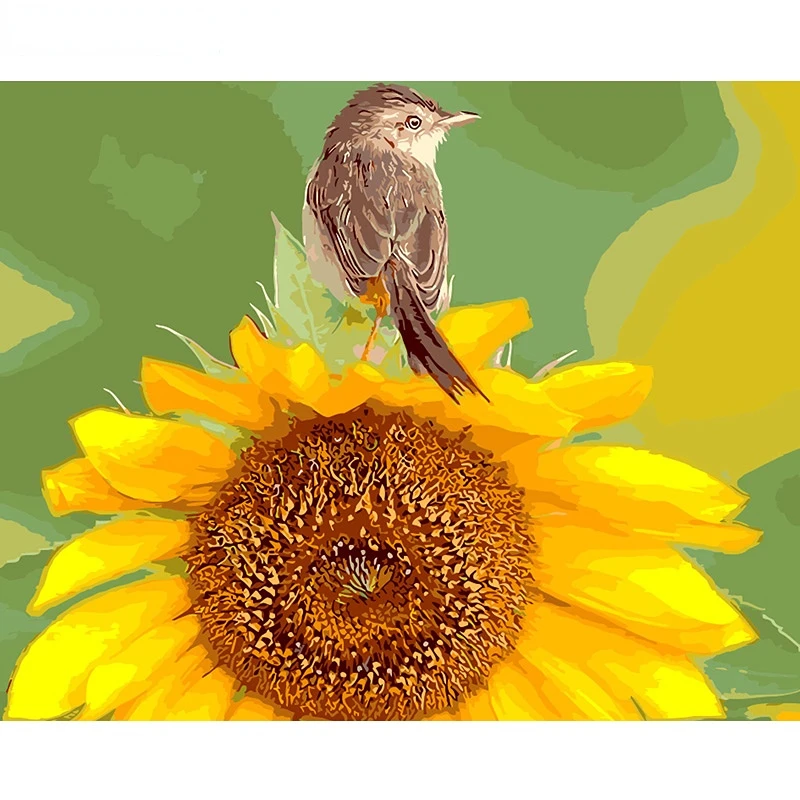 

Картина по номерам для взрослых, птицы и Подсолнухи, цифровая картина по номерам на холсте