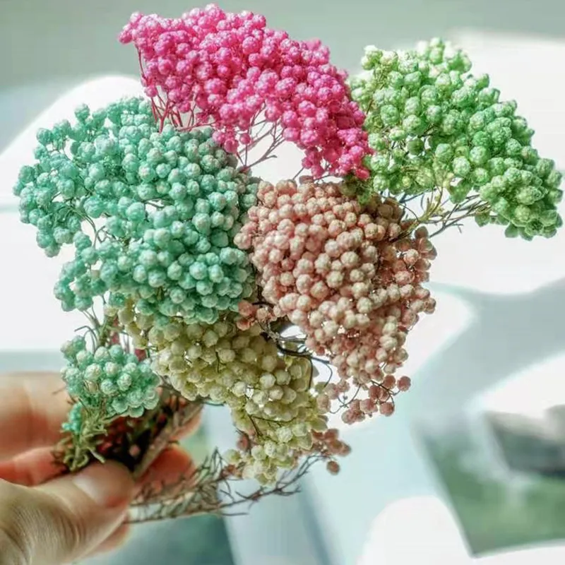 

50g Natural Millet Fruit Dried Flower Christmas Decorations For Home 2022 Cheap Items With Free Shipping Artificial Plants For D