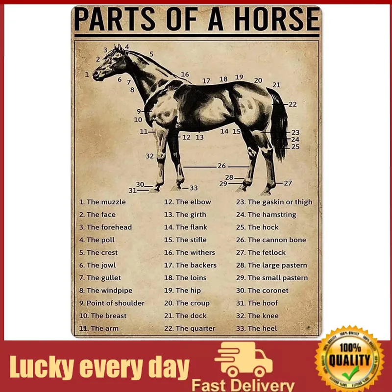 

Parts Of A Horse Knowledge Metal Tin Signs Popular Science Print Poster School Farm Garden Hospital Information Table Bar Garage